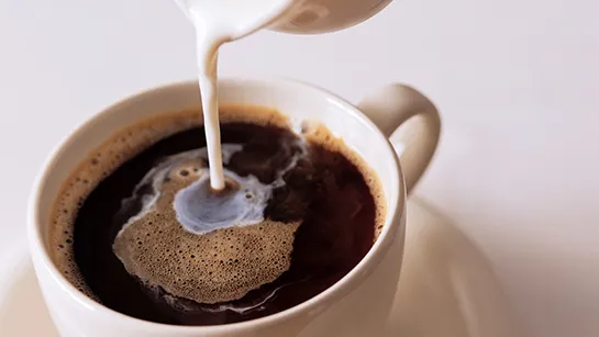 Sütlü Filtre KAHVE